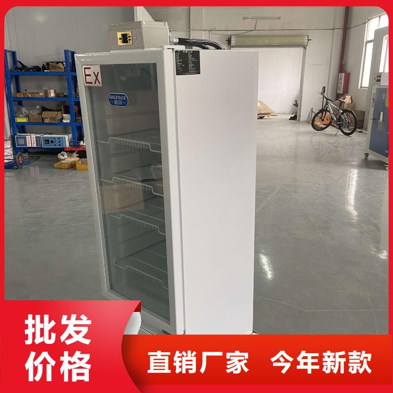 志尔防爆冰箱厂家支持定制