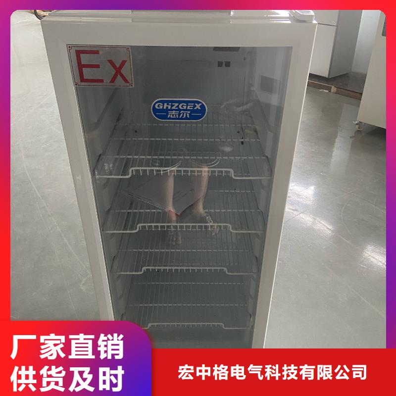 志尔防爆冰箱厂家支持定制