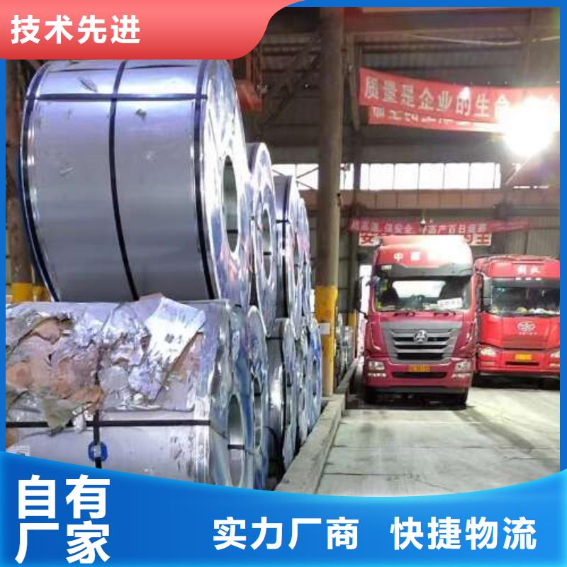 冷轧板卷_电工钢价格合理