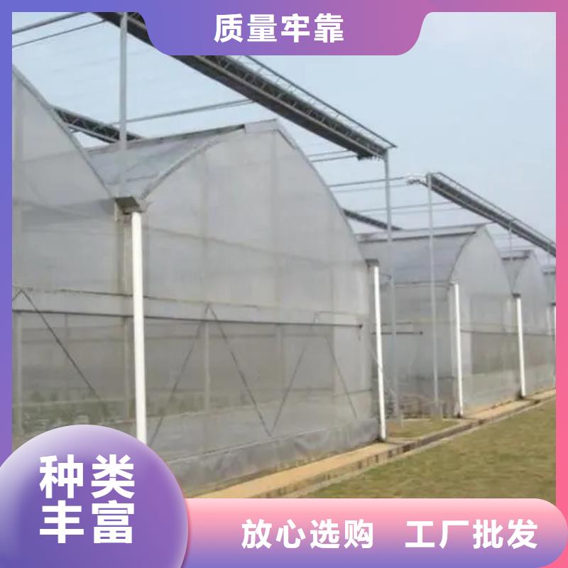 涡阳县连体大棚价格型号全