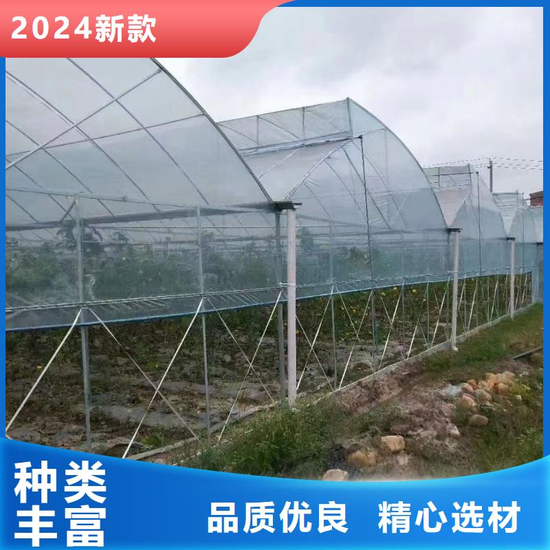 永顺县连栋大棚温室生产厂家图片2024-8-28