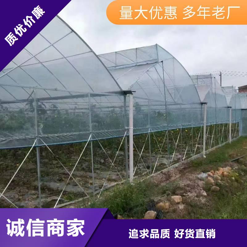 揭东区蔬菜大棚骨架诚信厂家2024--境内派发