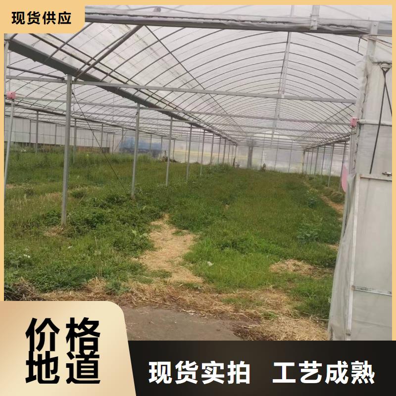 养殖大棚专用黑白膜能用几年型号全