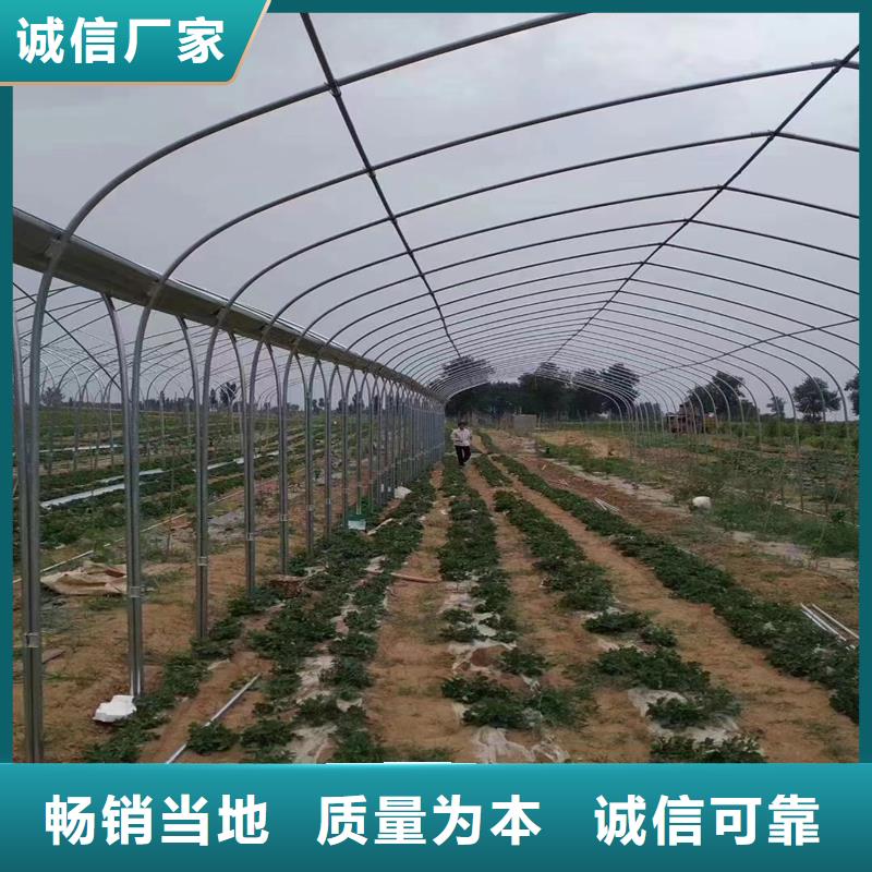 竹溪县大棚精品薄膜供应商2025--境内派发