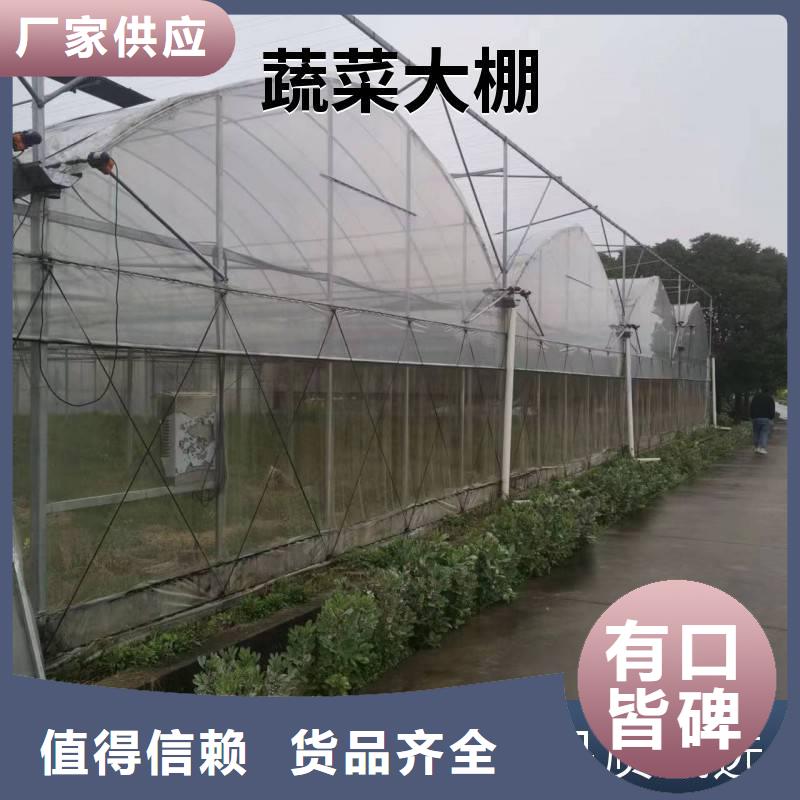 龙文区葡萄连体避雨大棚生产基地2024--09