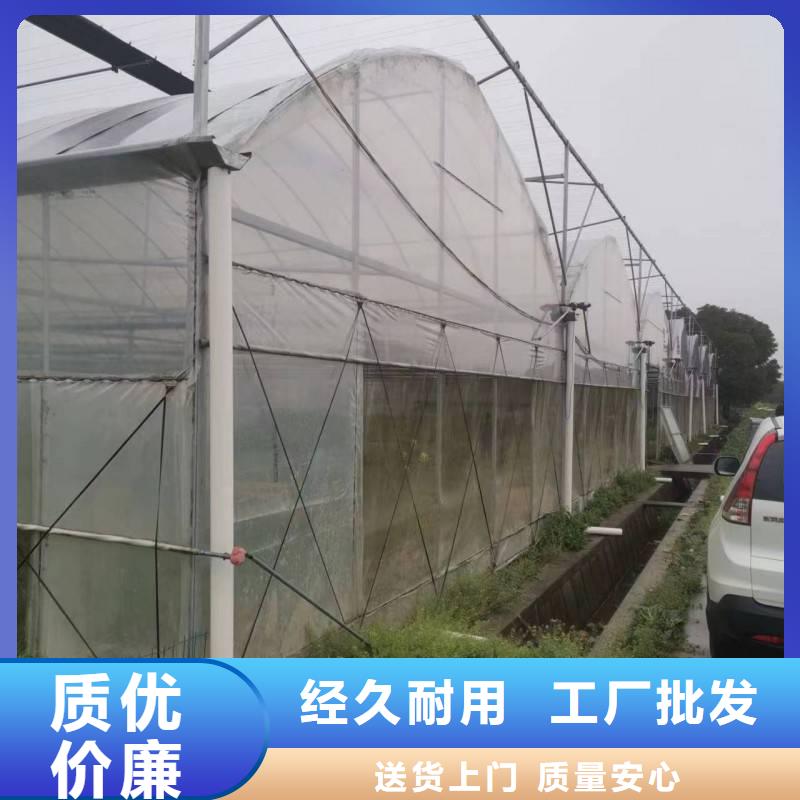 江苏省大品牌值得信赖(金荣圣)县玻璃温室大棚造价按需定制