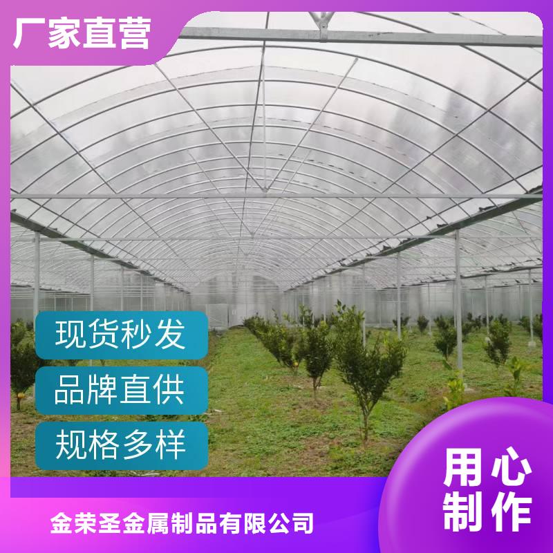 龙文区葡萄连体避雨大棚生产基地2024--09
