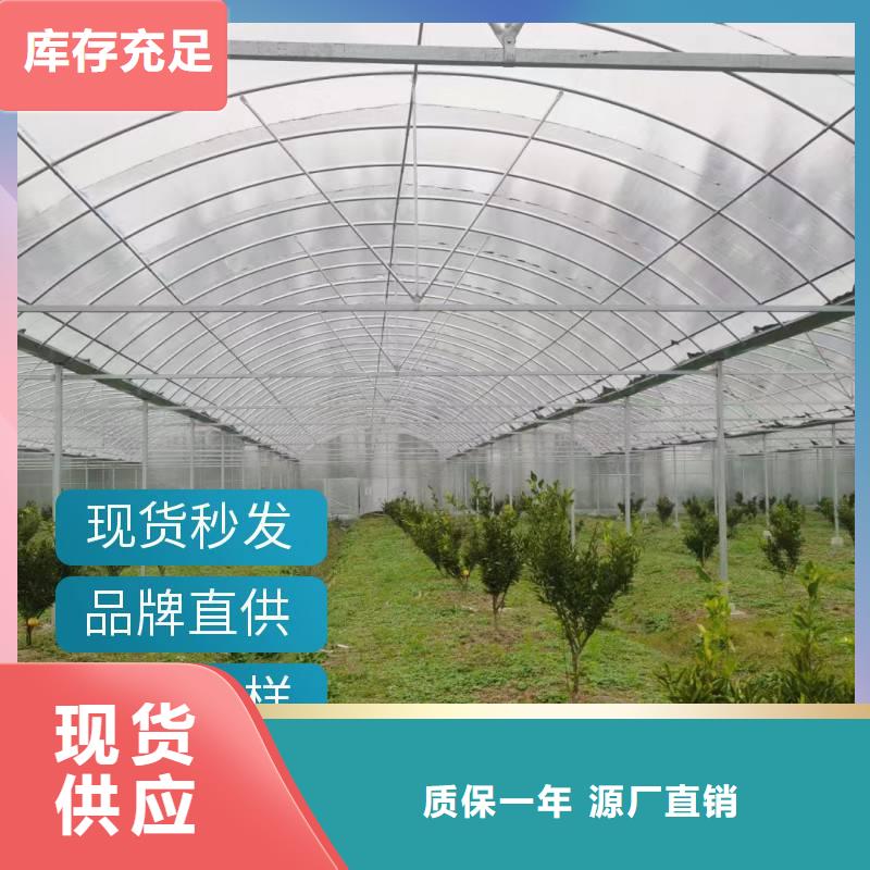 江苏省大品牌值得信赖(金荣圣)县玻璃温室大棚造价按需定制