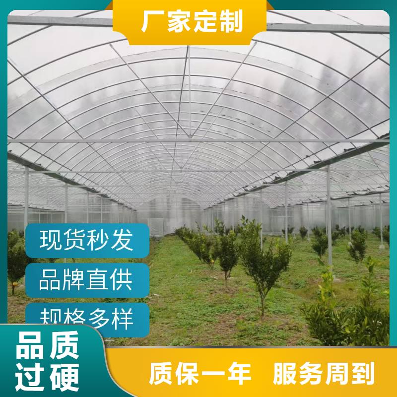 广东省严格把关质量放心<金荣圣>县中草药种植大棚本地厂家