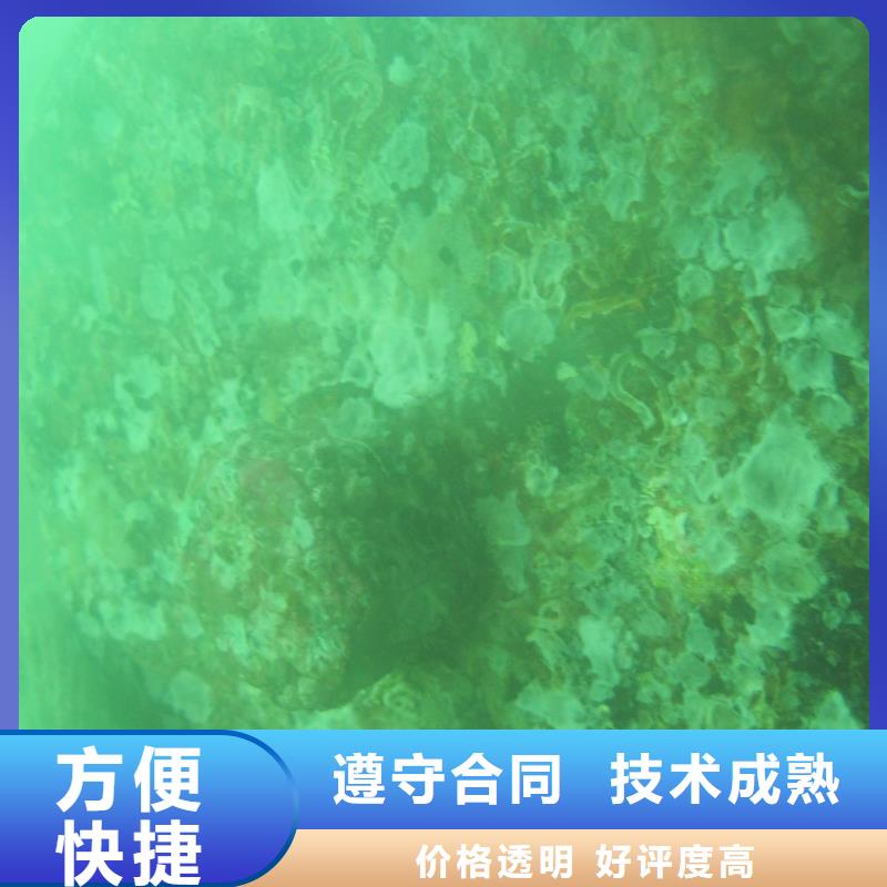 码头检测诚信企业