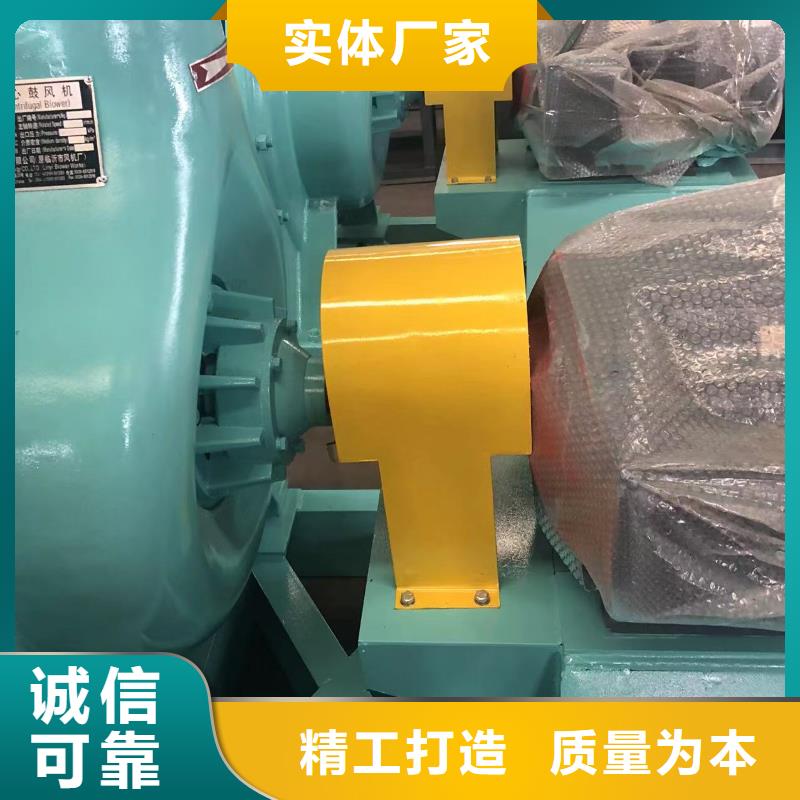 山东临风科技股份有限公司鼓风机D60-51-1.4