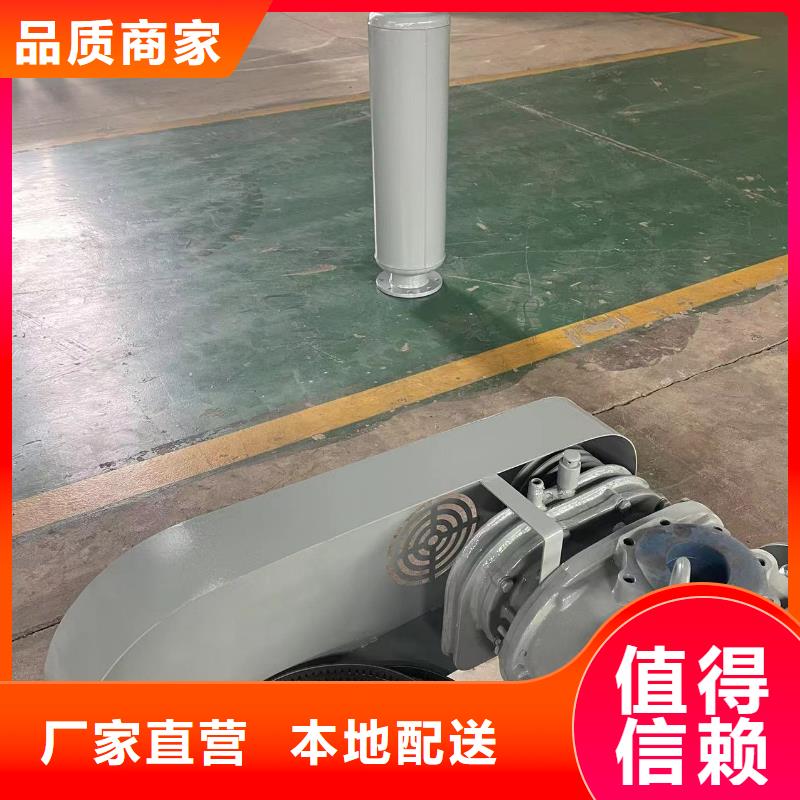 2025已更新(今日/批发)三叶罗茨鼓风机LFSR125