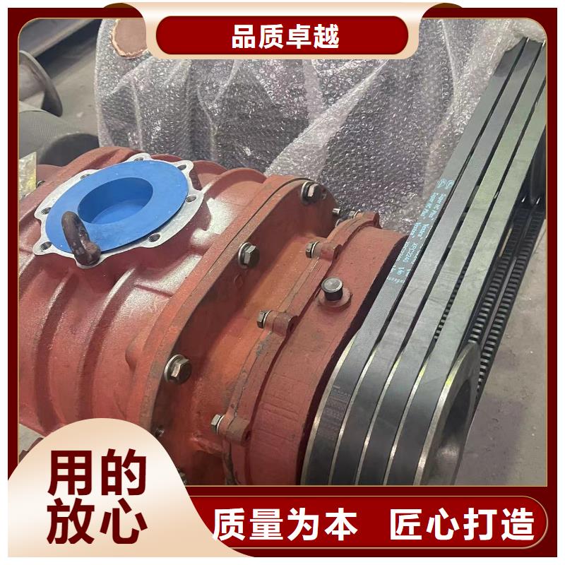 2025两叶罗茨风机LFSR150