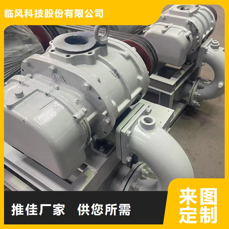 2025罗茨鼓风机LFSR150