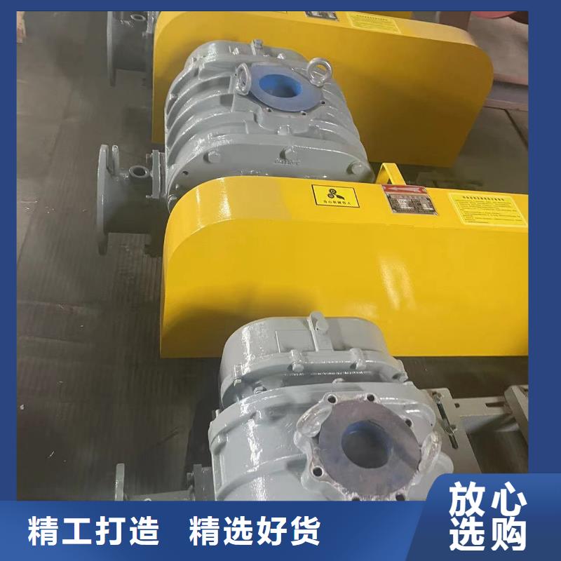 山东临风科技股份L系列罗茨风机LFSR300