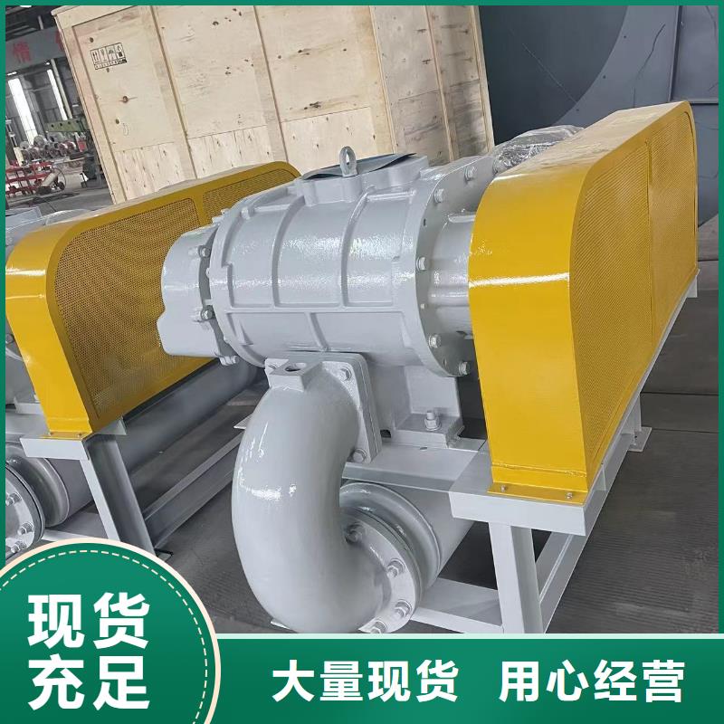 山东临风科技股份L系列罗茨风机LFSR300