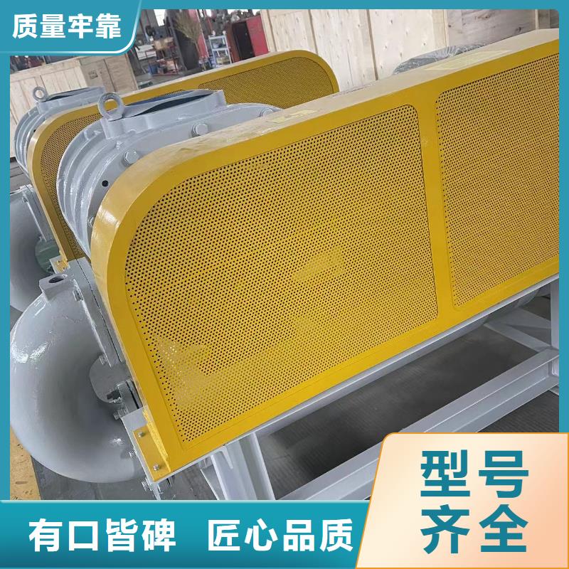 山东临风科技股份L系列罗茨风机LFSR300