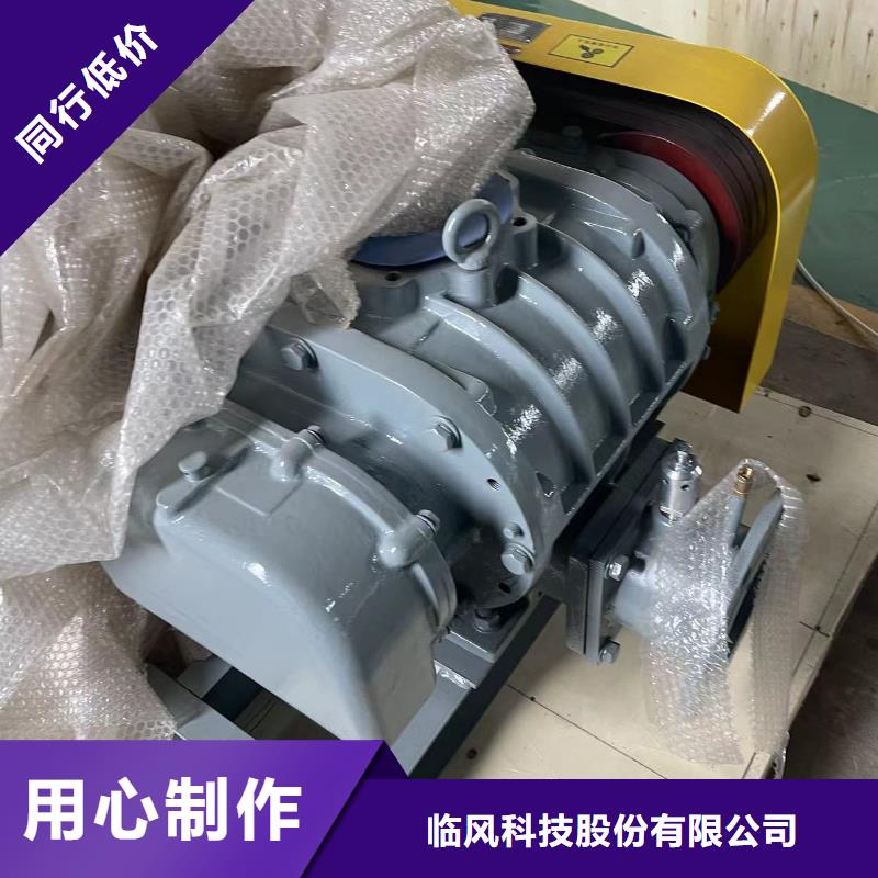 山东临风科技股份两叶罗茨风机LFSR65