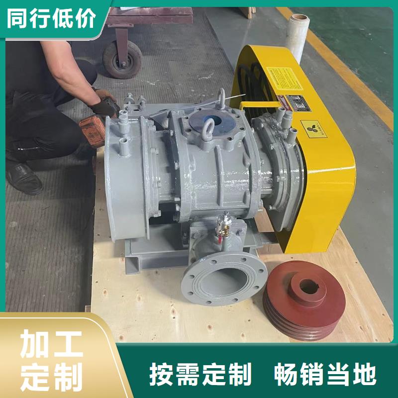 山东临风科技股份两叶罗茨风机LFSR80