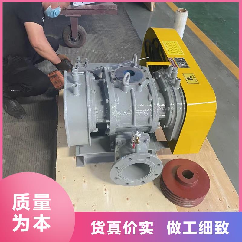 山东临风科技股份有限公司两叶罗茨风机LFSR80
