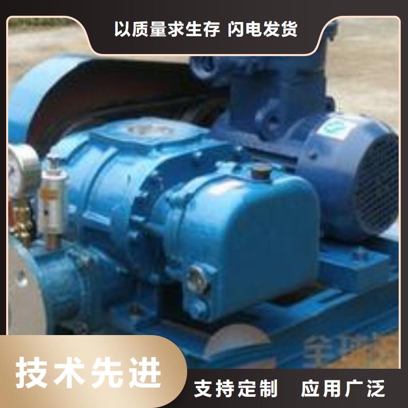 山东临风科技股份两叶罗茨风机LFSR150临高县
