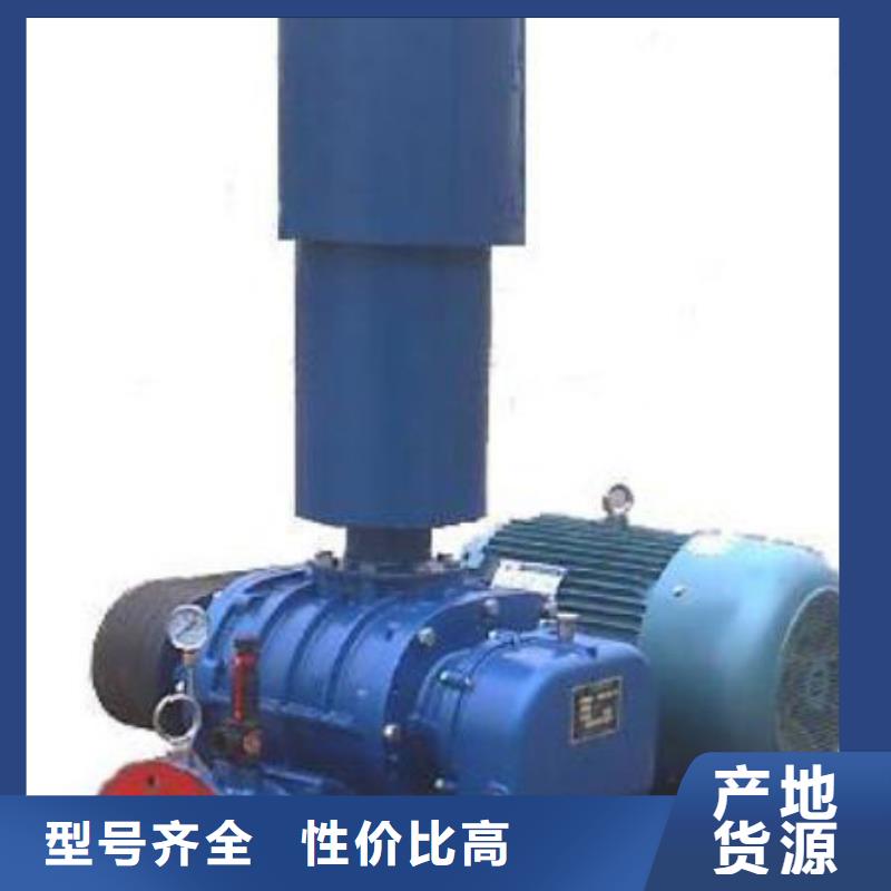2025三叶罗茨鼓风机LFSR150