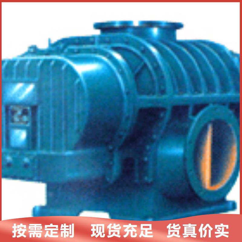 2025两叶罗茨风机LFSR250