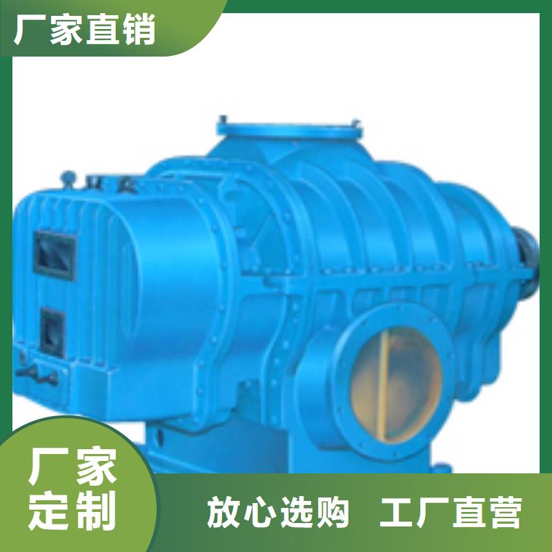 山东临风科技股份有限公司罗茨鼓风机LFSR150