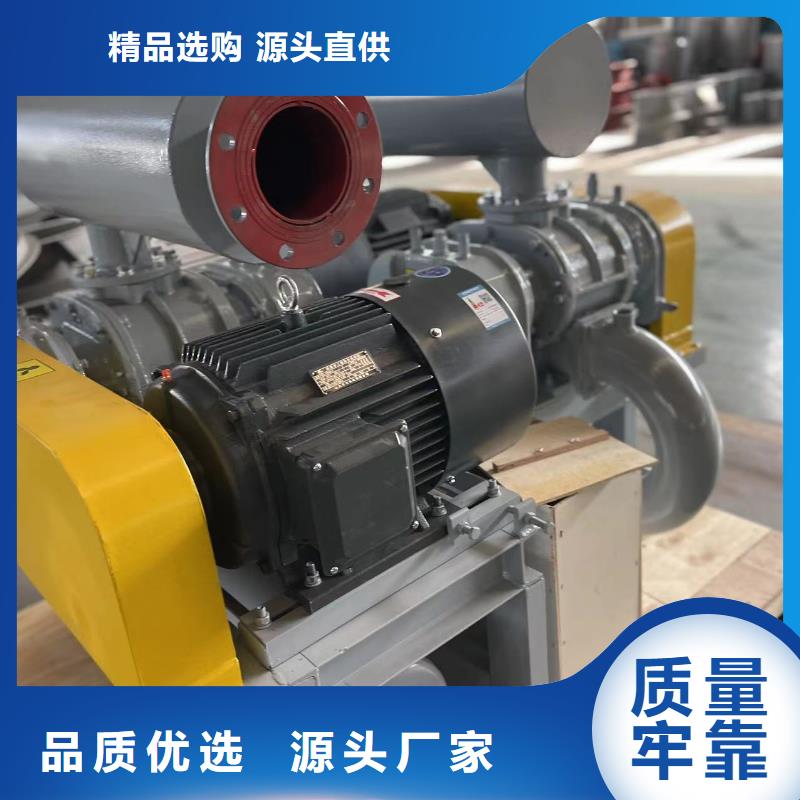 山东临风科技股份两叶罗茨风机LFSR65