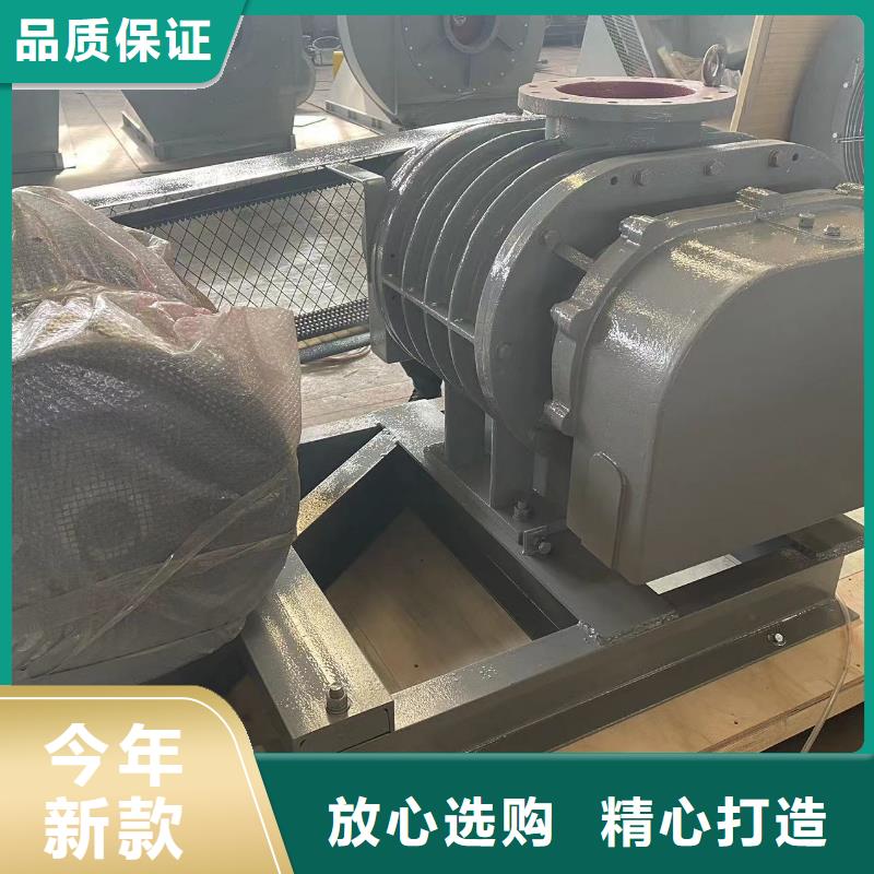 山东临风科技股份罗茨鼓风机LFSR100