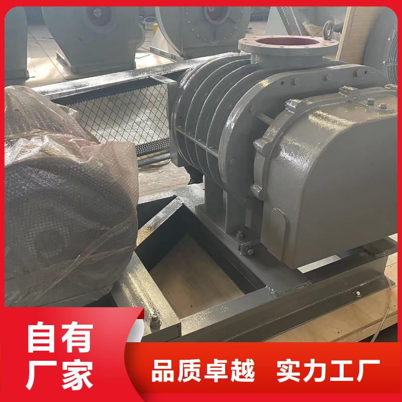 临风科技三叶罗茨鼓风机LFSR200