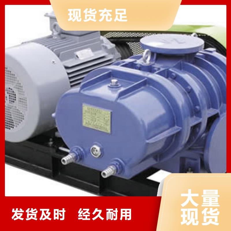 每日两叶罗茨风机LFSR300