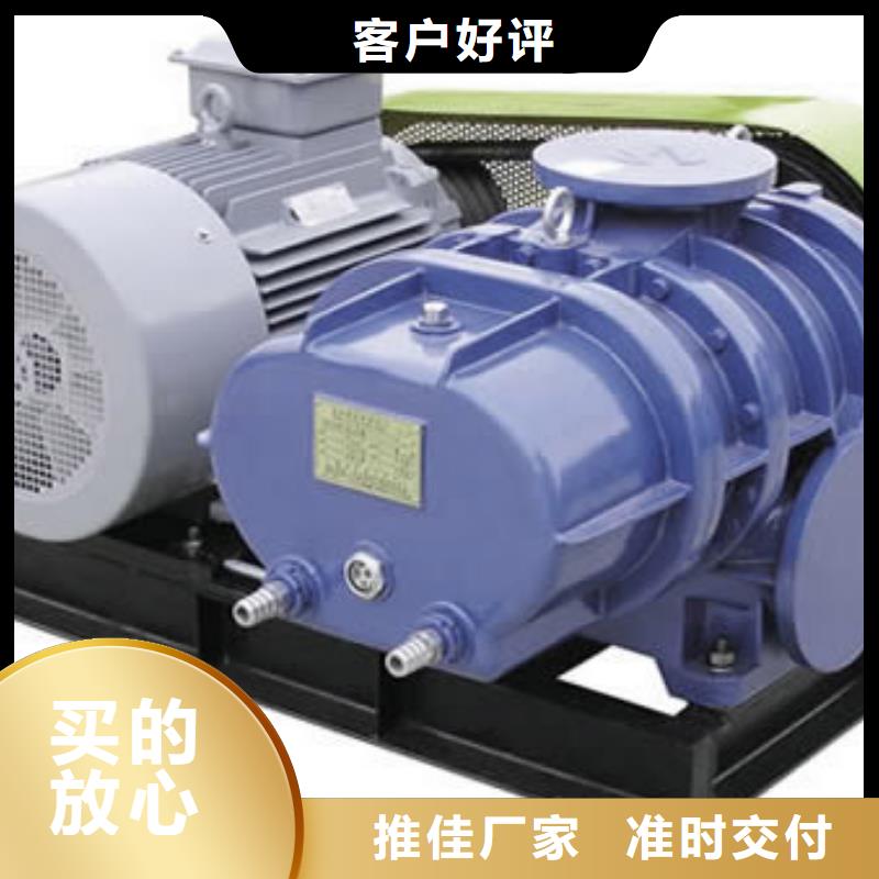 2025罗茨鼓风机LFSR250