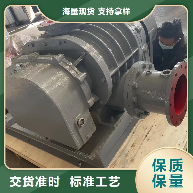 山东临风科技股份两叶罗茨风机LFSR80