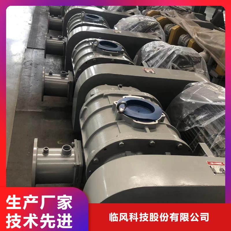 山东临风科技股份罗茨鼓风机LFSR300