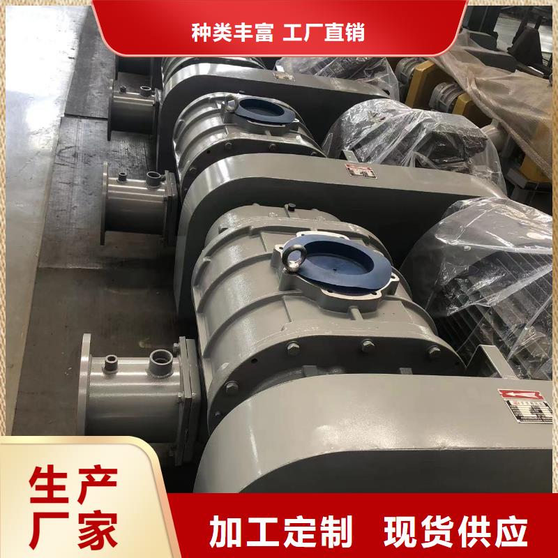 2025三叶罗茨鼓风机LFSR65