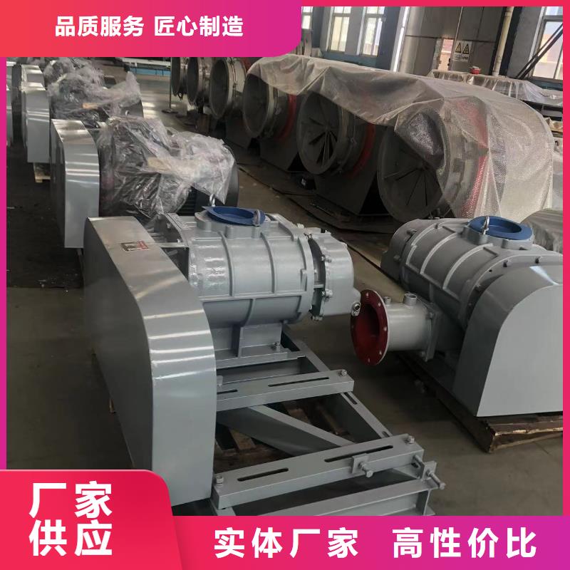 临风股份三叶罗茨鼓风机LFSR250