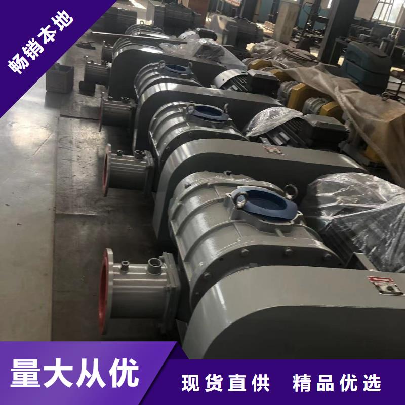 山东临风科技股份有限公司两叶罗茨风机LFSR125