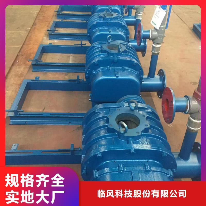 2025罗茨鼓风机LFSR125