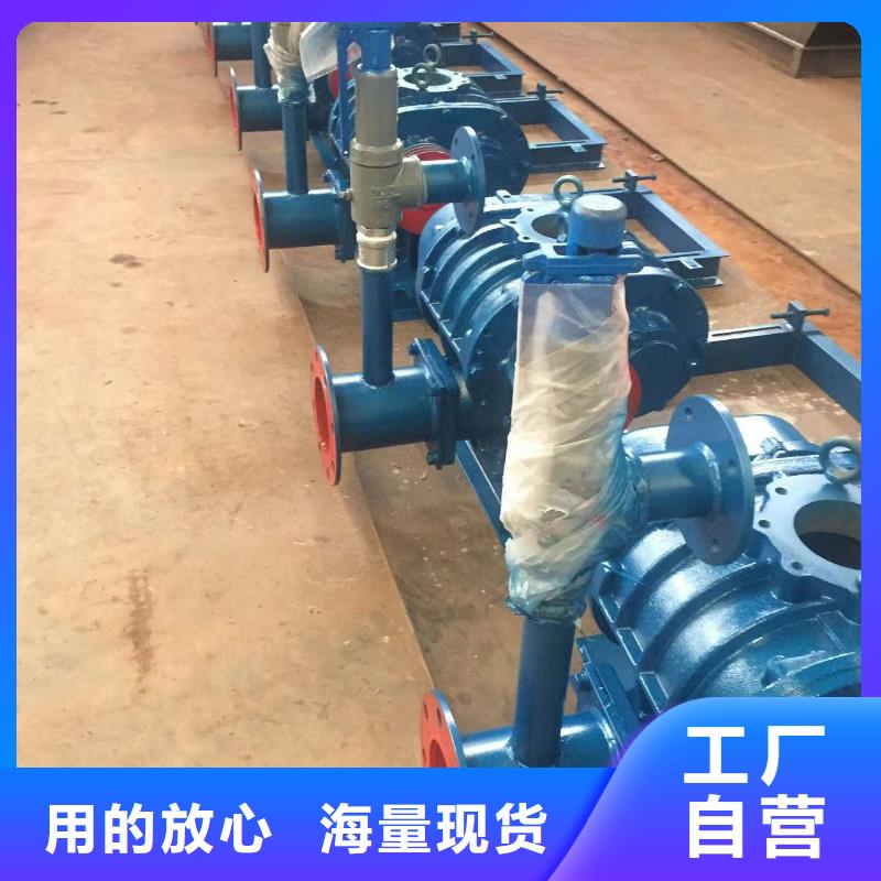 山东临风科技股份有限公司两叶罗茨风机LFSR125