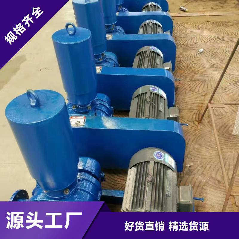 山东临风科技股份有限公司氧化风机LFSR150