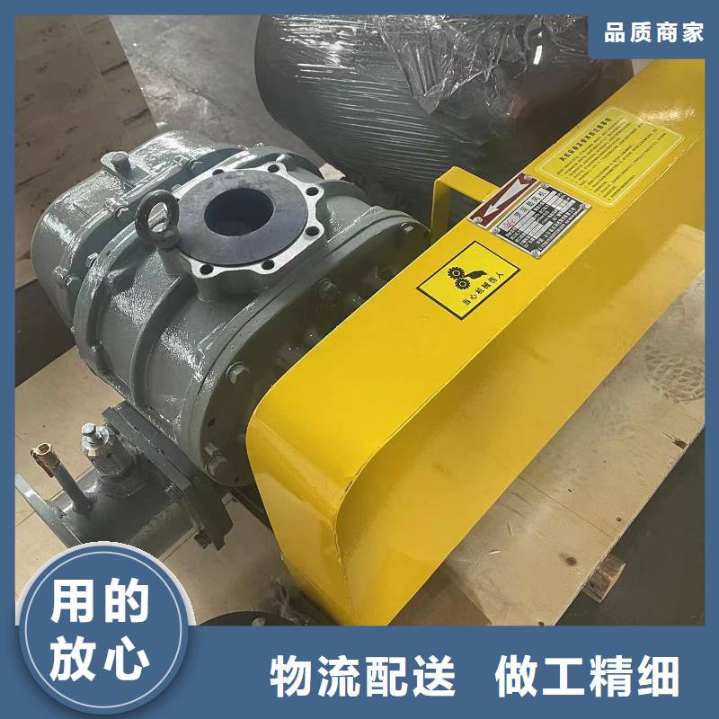山东临风科技股份L系列罗茨风机LFSR300