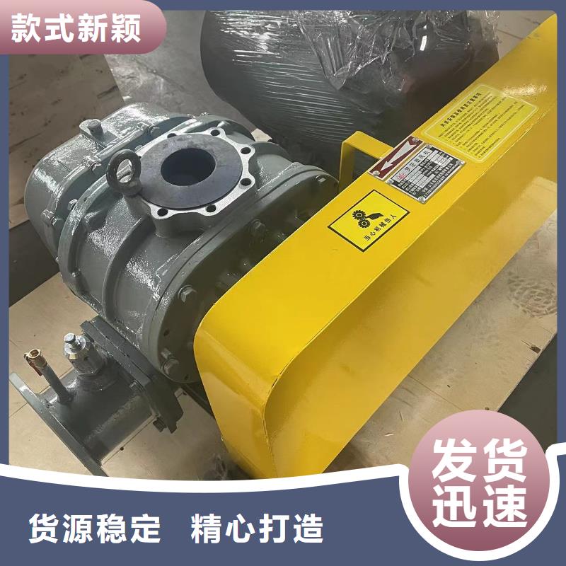 山东临风科技股份洗煤专用罗茨风机LFSR125
