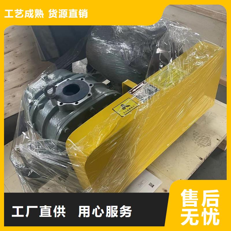 临风科技股份有限公司L系列罗茨风机LFSR80