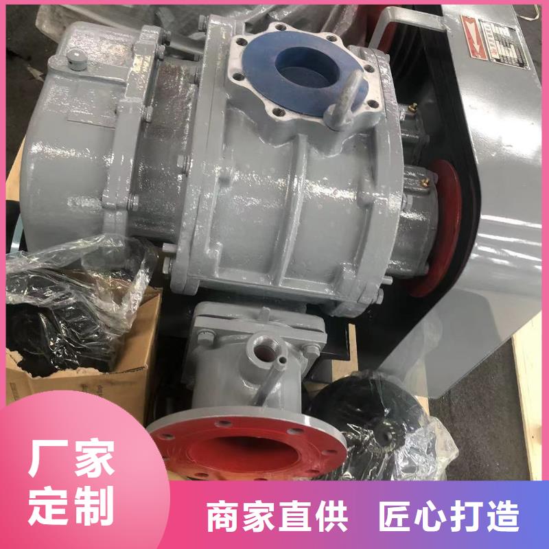 2025返料风机LFSR125