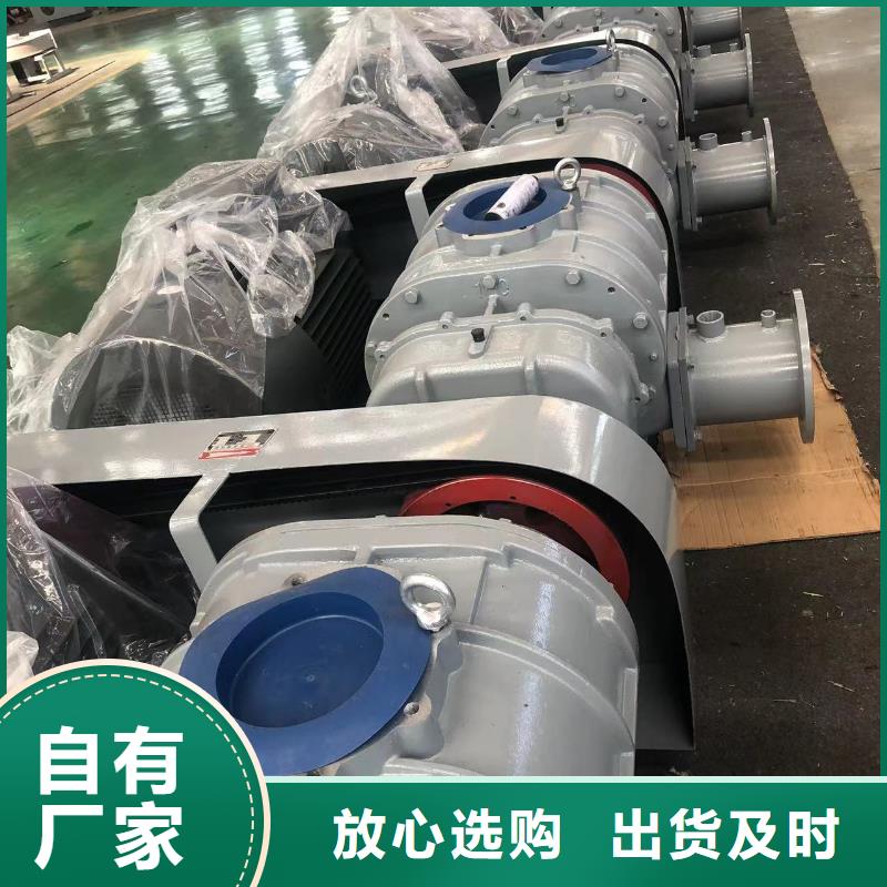 每日罗茨鼓风机LFSR80