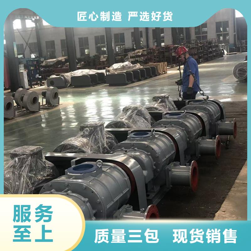 山东临风科技股份有限公司两叶罗茨风机LFSR100