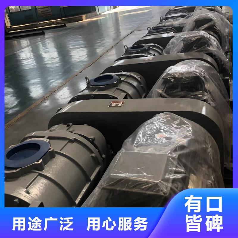 2025两叶罗茨风机LFSR80
