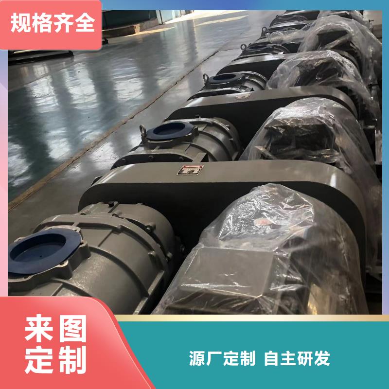 每日洗煤专用罗茨风机LFSR250