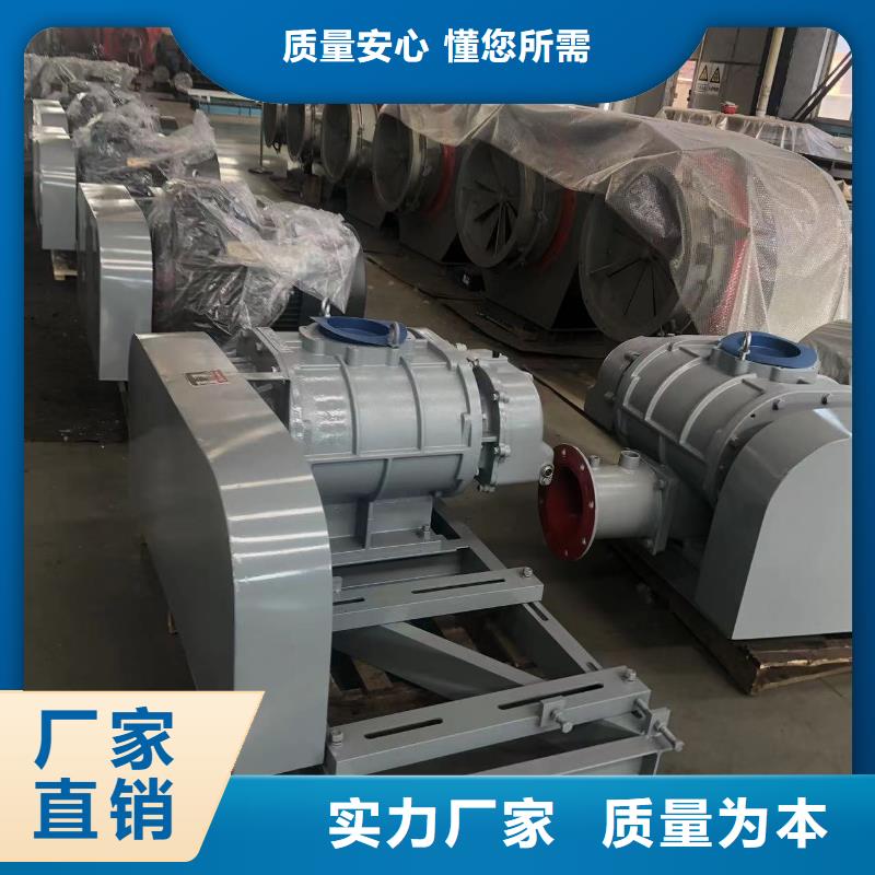 山东临风科技股份罗茨鼓风机LFSR300